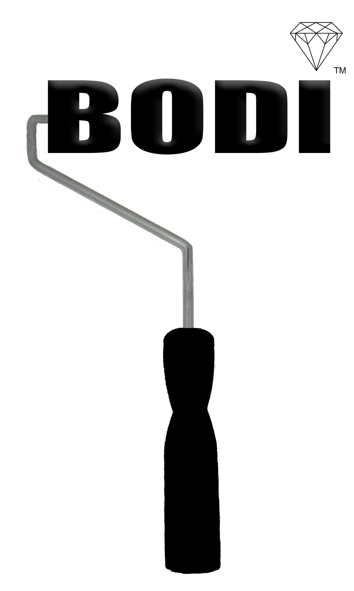Bodi Company Inc.