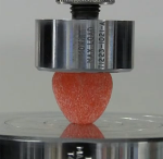 Compression Test on Soft Candies