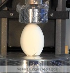 Compression Test on Eggs Using Instron System