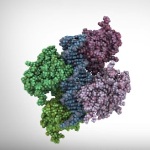 Bruker’s rapifleX MALDI Tissuetyper System Improves Proteomic Analysis