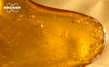 Analyzing Honey with NMR