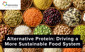 Alternative Protein: Driving a More Sustainable Food System