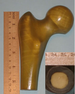 AZoJoMo – AZoM Journal of Materials Online - Artificial bone used in the present study. Inset photo shows bone cross section.