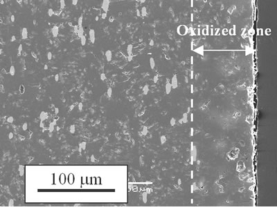 AZoJoMo - AZoM Journal of Materials Online - Cross-sectional view of Ni/MgO after oxidation at 1300˚C for 1 day.