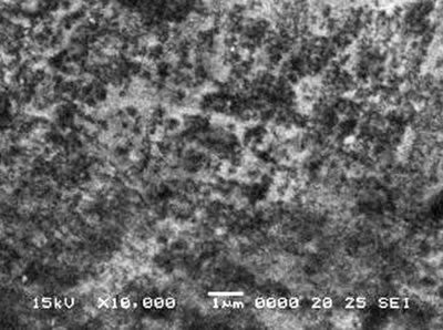 AZoJoMo - AZoM Journal of Materials Online - Surface morphologies of MJ12  nitrided at –6 kV bias voltage.