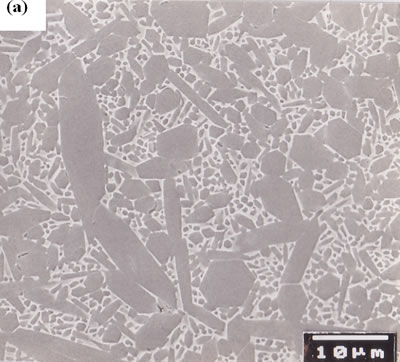 AZojomo - The "AZo Journal of Materials Online" Microstructure of polished surfaces ultra-high temperature HIPed specimen with 3.5 mass% Y2O3 additive