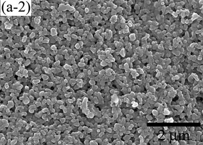 AZoJoMo – AZoM Journal of Materials Online - The variation of cross-sectional and plan images of 2D Al2O3/5 vol% Ni nanocomposite, that were coated on rough substrate and densified at 1000oC.
