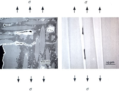 AZoJoMo - AZoM Journal of Materials Online - Cracks in SiC/SiC composite at 1300°C.