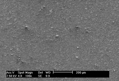 Scanning electron microscopy image of SO0N20B0 coating obtained without bias voltage on the substrate
