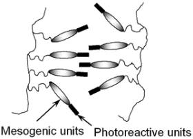 :: AZoJoMO – AZoM Journal of Materials Online - Schematics of the photoregulation of mesogenic molecules in the photocrosslinkable polymer liquid crystal.