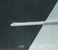SEM image (300X magnification) of an integrated single crystal silicon cantilever and tip with an end radius of 5nm to 10nm.