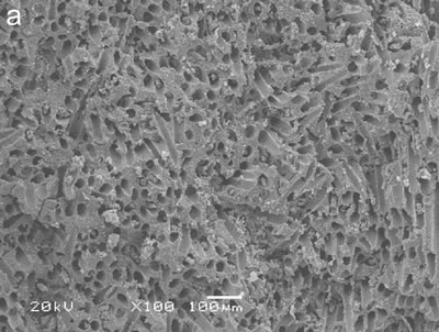 AZoJoMo – AZoM Journal of Materials Online : SEM micrograph of porous Si3N4 ceramics in which the pores were formed by Organic whisker.  The content of the pore-forming agent was 60 vol%.