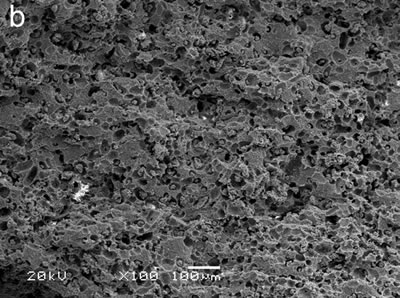AZoJoMo – AZoM Journal of Materials Online : SEM micrograph of porous Si3N4 ceramics in which the pores were formed by Starch.  The content of the pore-forming agent was 60 vol%.