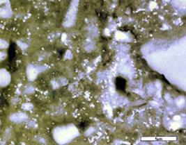 AZoM - Metals, Ceramics, Polymer and Composites : Microstructure of Concrete Roof Tiles