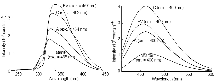 Comparison of fluorescence excitation (left side) and emission (right side) of Samples A, C, and a 100-fold dilution of starter solution. Next to each trace, the excitation or emission wavelength is given.