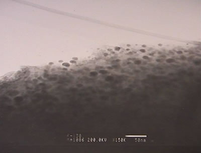 TEM image of PbS-Na_X sample prepared at 65ºC.