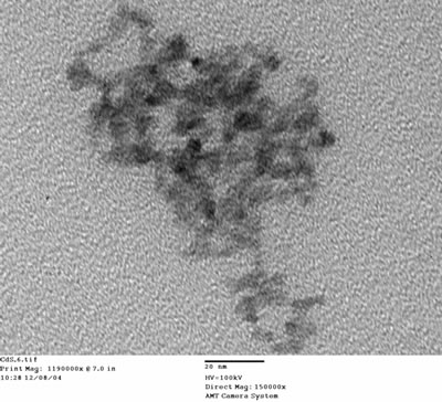 AZojomo - The "AZo Journal of Materials Online" Transmission electron microscopy images of the sample, the scale bar is 20 nm.