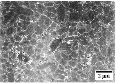 AZoJoMo - AZoM Journal of Materials Online - SEM micrographs of the etched surface of alumina – 5 vol% silicon carbide nanocomposites as function of the sintering temperature at 30 MPa for 1 h in Ar atmosphere  1500oC.