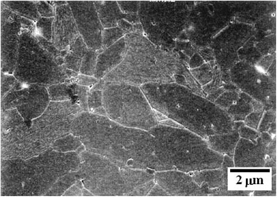 AZoJoMo - AZoM Journal of Materials Online - SEM micrographs of the etched surface of alumina – 5 vol% silicon carbide nanocomposites as function of the sintering temperature at 30 MPa for 1 h in Ar atmosphere 1600oC.