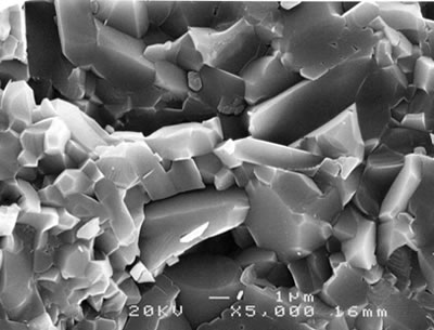 AZoJoMo - AZoM Journal of Materials Online - SEM micrographs of the fracture surface of monolithic alumina sintered at 1600C.