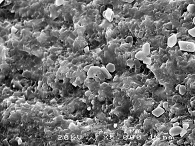 AZoJoMo - AZoM Journal of Materoals Online - SEM micrographs of the fracture surface of 5 vol% silicon carbide nanocomposites sintered at 1500oC.