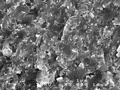 AZoJoMo - AZoM Journal of Materials Online - SEM micrographs of the fracture surface of alumina - 5 vol% silicon carbide nanocomposites sintered at 1600oC.