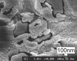 AZoJomo - The AZO Journal of Materials Online - Typical FESEM photos taken at the bottom of the HVOF coating (with intimate contact with the substrate) showing a cuboid structure