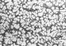 AZoJomo - AZoM Journal of Materials Online - Microstructures of spherical and dendritic crystals of AC4CH alloy specimens Ex. 6: using AC4CH rod with 180min-1 rotation speed.