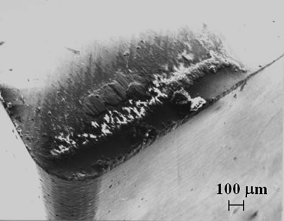 AZojomo - The "AZo Journal of Materials Online" Scanning micrograph of the rake face of a TiN coated PM-M41 insert used to machine workpiece W1 after 2 min showing deposited silicate layers.