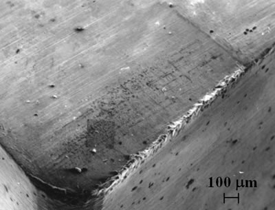 AZojomo - The "AZo Journal of Materials Online" Scanning micrograph of the rake face of a TiN coated T15 insert used to machine workpiece W1 after 0.5 min showing a mixture of deposited silicate and sulfide layers.