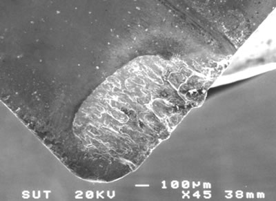 AZojomo - The "AZo Journal of Materials Online" Scanning micrograph of the rake face of a TiN coated PM-M41 insert used to machine workpiece W3 after 2 min showing no deposited layers.