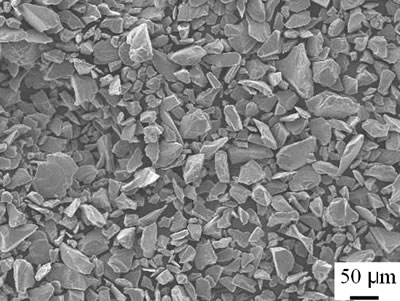 AZoJoMo – AZoM Journal of Materials Online - SEM micrograph of TiO2 powders.
