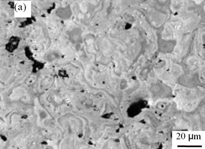 AZoJoMo – AZoM Journal of Materials Online - The surface morphologies of plasma sprayed TiO2 coatings deposited under spraying distance 120mm and different spraying powers 40.2 kW.