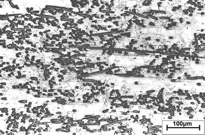 AZoJoMo – AZoM Journal of Materials Online : Micrograph of carbon fiber reinforced AS41.