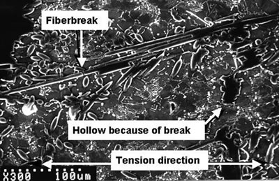 AZoJoMo – AZoM Journal of Materials Online : Micrograph of a AS41/C fiber MMC after creep.