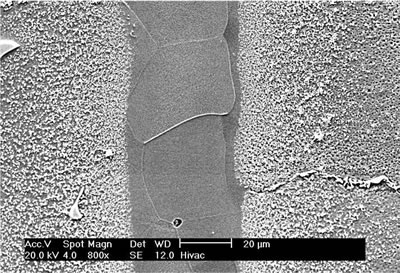 AZoJoMo – AZoM Journal of Materials Online : Microstructure of 30 mm gap brazed at 1100oC for 1 h.