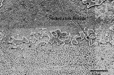 AZoJoMo – AZoM Journal of Materials Online : Secondary electron image of “NB 150” brazement showing Ni rich interface boride.