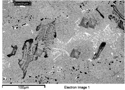 AZoJoMo – AZoM Journal of Materials Online : SEM EDS spectrum from MC carbides in base metal