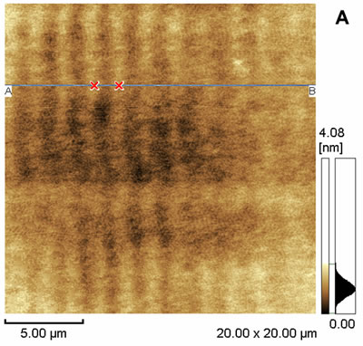 AZoJoMO – AZoM Journal of Materials Online - 20 x 20 mm2 dynamic mode AFM images of the surface of PVCi film. 2-D display of the AFM data;
