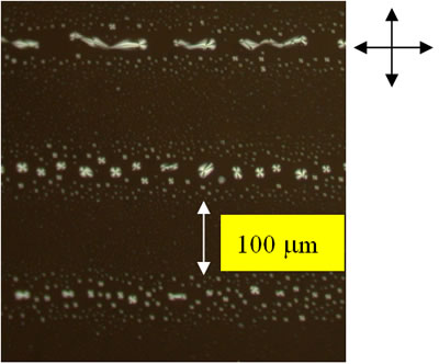 AZoJoMO – AZoM Journal of Materials Online - Polarized microphotograph of the surface alignment of the evaporated LC multilayers on photoinduced PVCi film for 3 hours 5CB evaporation. The substrate is between crossed polarizers.