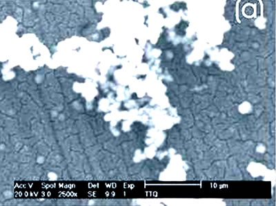 AZojomo - The "AZo Journal of Materials Online" Chemically-treated Ti alloy sample.  (a) SEM image