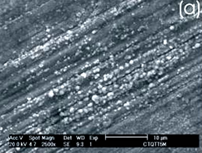 AZojomo - The "AZo Journal of Materials Online" Co alloy sample with chemical and heat treatments.  (a) SEM image