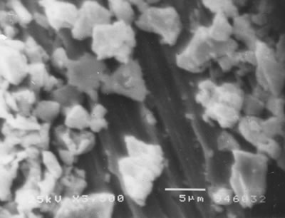 AZoJoMo - AZoM Journal of Materials Online - SEM micrographs of Al-Ni powders, MM processed for 0 h.