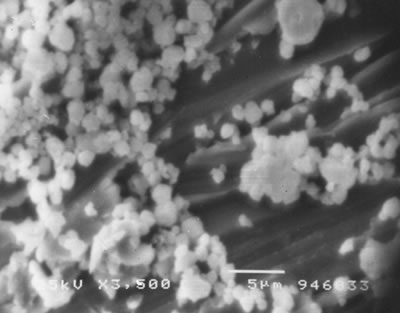 AZoJoMo - AZoM Journal of Materials Online - SEM micrographs of Al-Ni powders, MM processed for 40 h.